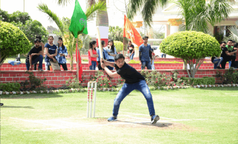 Cricket