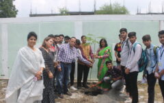 Green Fest (1)