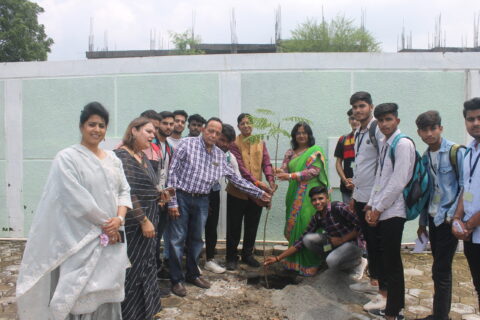 Green Fest (1)
